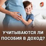 учитываются ли пособия в доход?