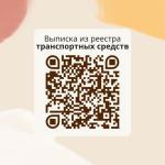 Владелец транспортного средства (ТС) может получить данные из Государственного реестра по одному или всем своим ТС
